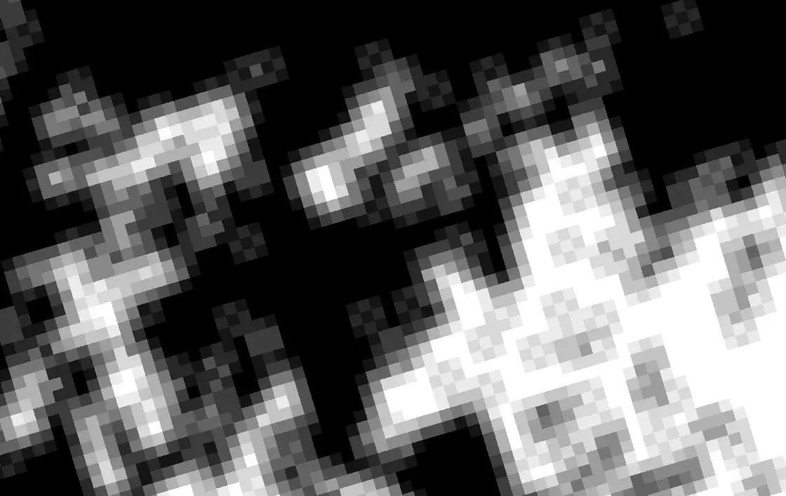 A contiguity raster with continuous values.